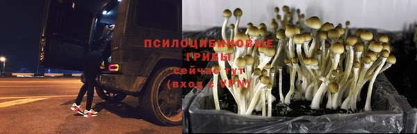 бутик Новокубанск