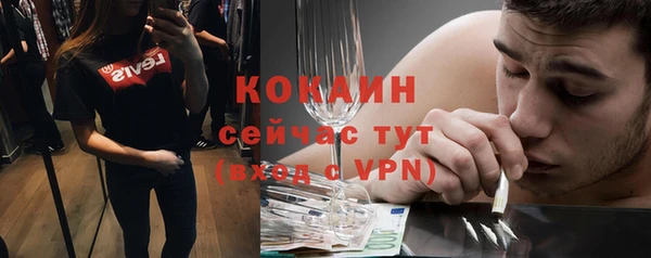 прущие грибы Новодвинск