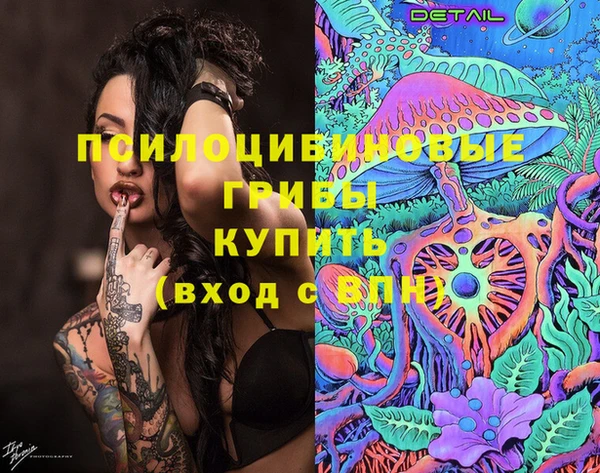 кокаин колумбия Новозыбков
