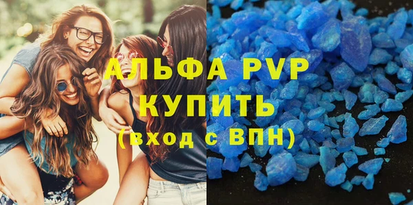 прущие грибы Новодвинск