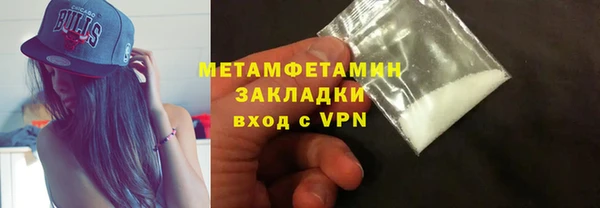 прущие грибы Новодвинск