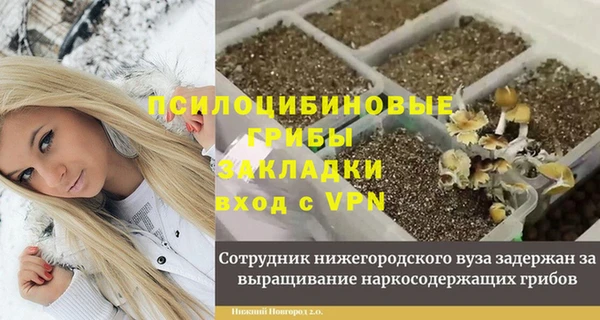 прущие грибы Новодвинск