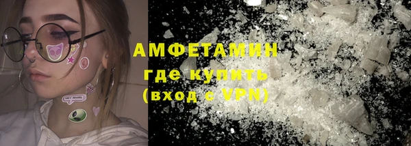 прущие грибы Новодвинск